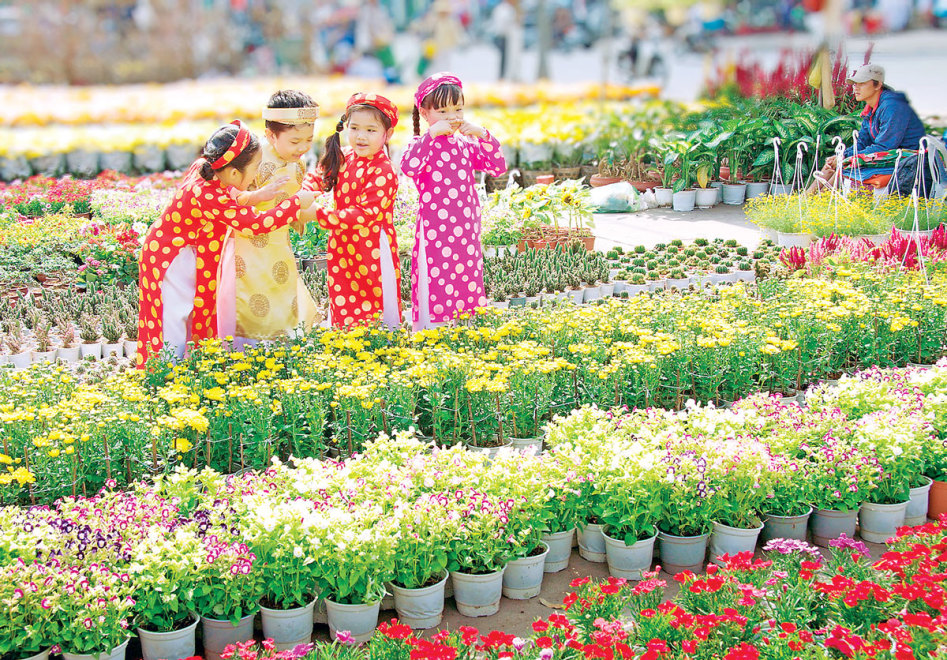 Colorful flowers of Tet in central Vietnam